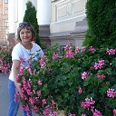 ���� �����, �����, 60 ��� - ��������� 4 ����� 2022 � ������ ���� ����������