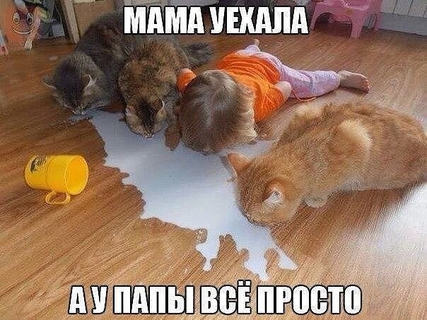    - 16  2022  16:20
