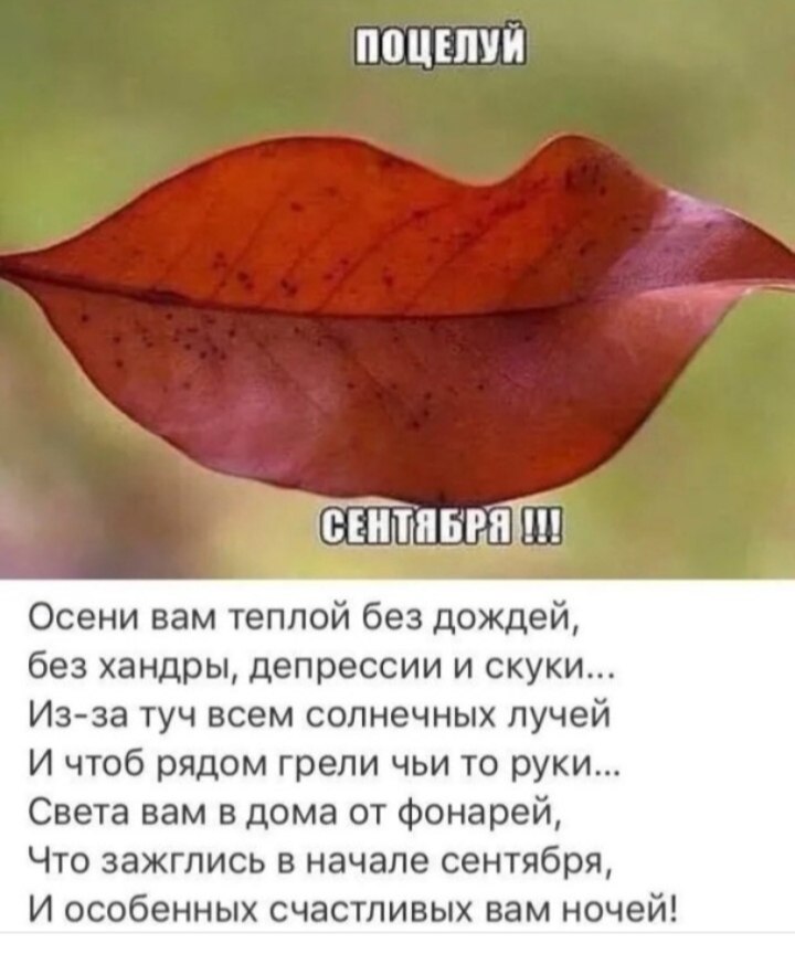 Mila - 3  2022  06:45
