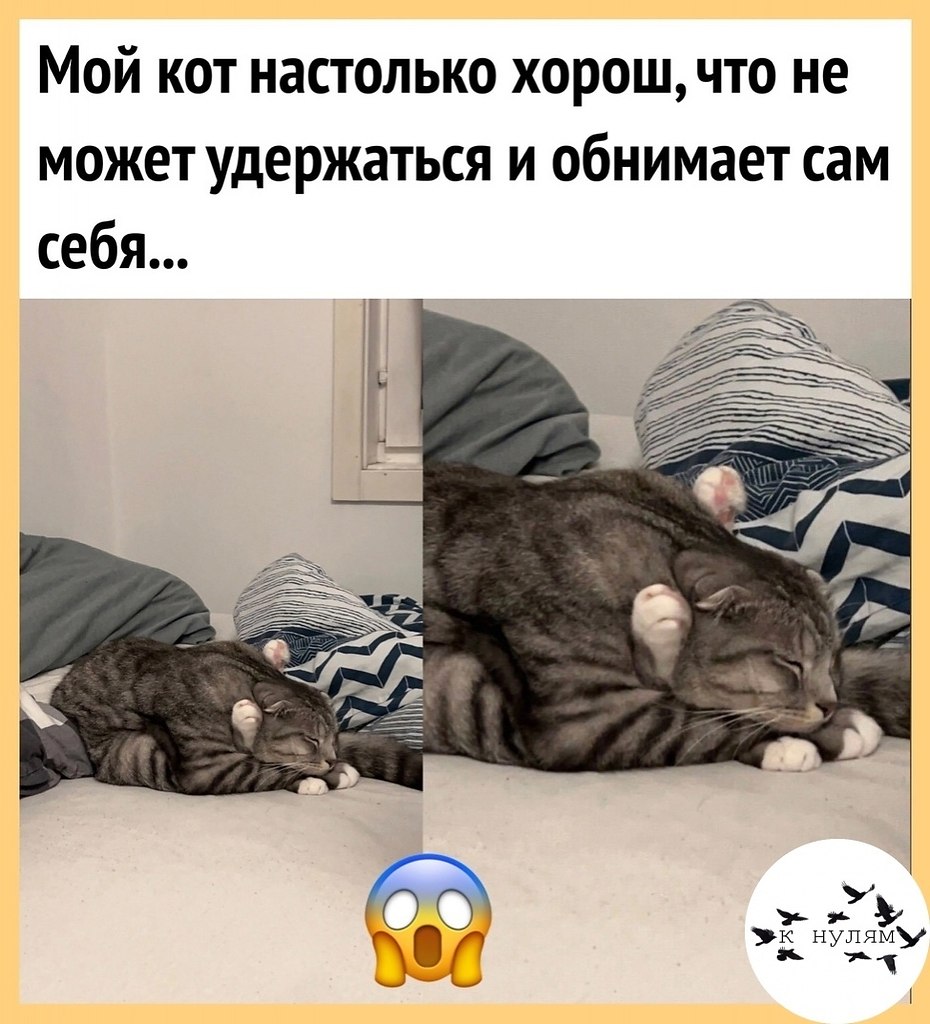 o o o !     