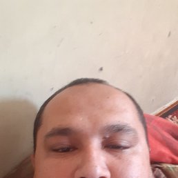  , , 41  -  23  2022