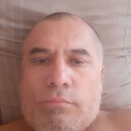 , , 48 
