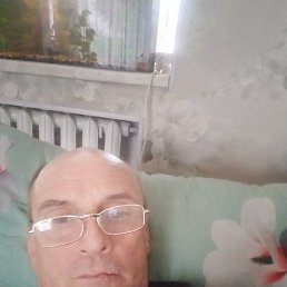 , 53, 