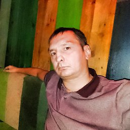 �������, ���������, 46 ���