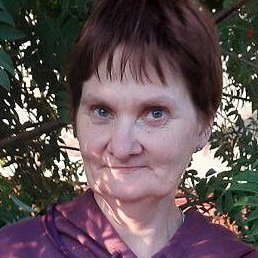 �����, ����������, 54 ����