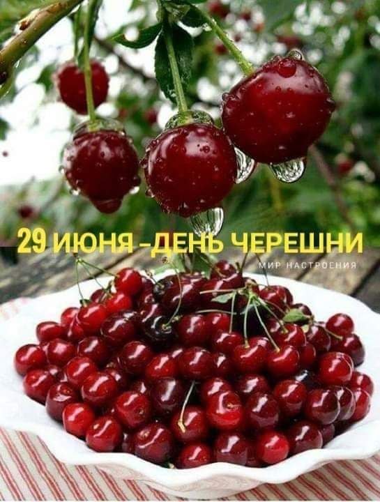   - 29  2022  13:36