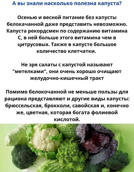 Огромную пользу представляет не только белокочанная капуста и другие виды также: бpюcceльcкaя, ...