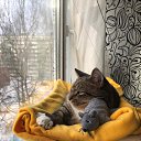 ���� �������, �����, 37 ��� - ��������� 5 ��� 2022 � ������ ���� ����������