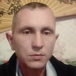 ������, ������, 37 ���