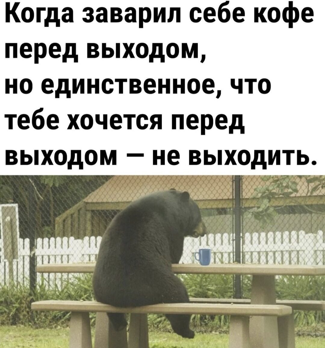 ***Victoria Viktorovna*** - 17  2022  05:12
