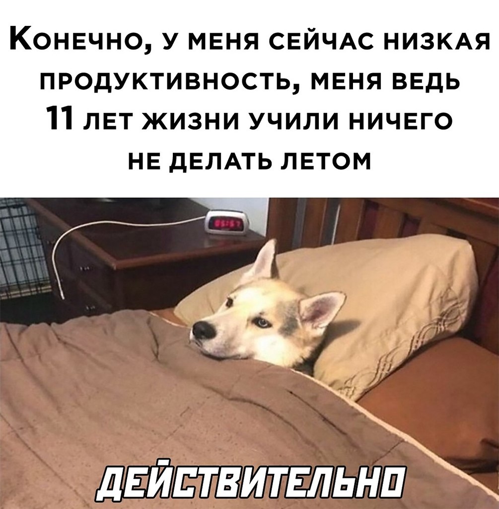 ☆ ☆ - 6  2022  23:14