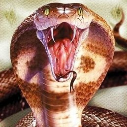 ����, ��������, 38 ���