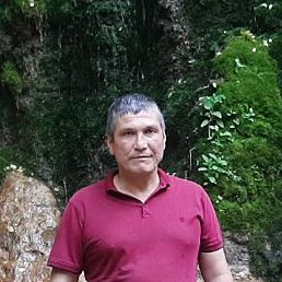 ����, �������, 46 ���