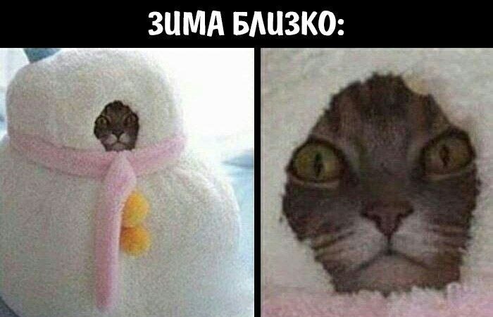    - 11  2023  07:39