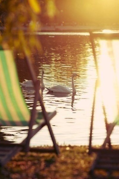 Афанасий Фет — «Я пришел к тебе с приветом...».Я пришел к тебе с приветом, Рассказать, что солнце ... - 5