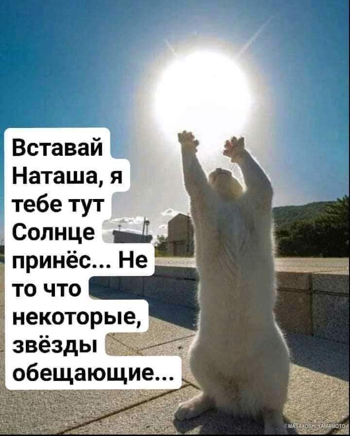  - 24  2022  11:41