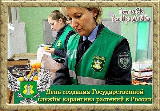   ,    . - 4  2022  20:51 - 5