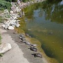 ���� ����, ������, 65 ��� - ��������� 20 �������� 2022 � ������ ������ ������� ������ �������������, ���� � ���� � ����������,09.2022 ����