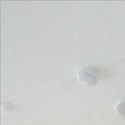 , , 25 