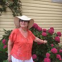 ���� �������, ������-��-����, 78 ��� - ��������� 29 ���� 2022 � ������ ���� ����������