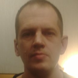 ����, ����, 41 ���