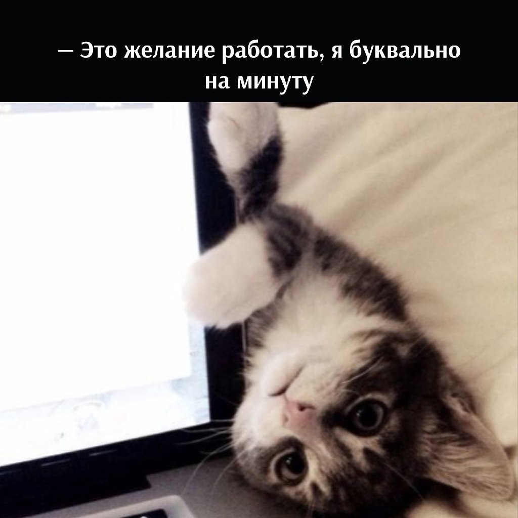       - 11  2022  17:07 - 3