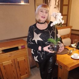 , 56, 