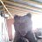  Jamshid, , 29  -  25  2022