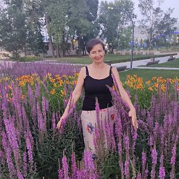 �������, ������