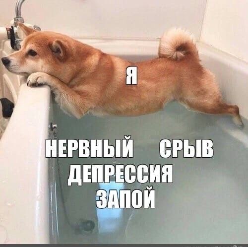    - 17  2023  21:13