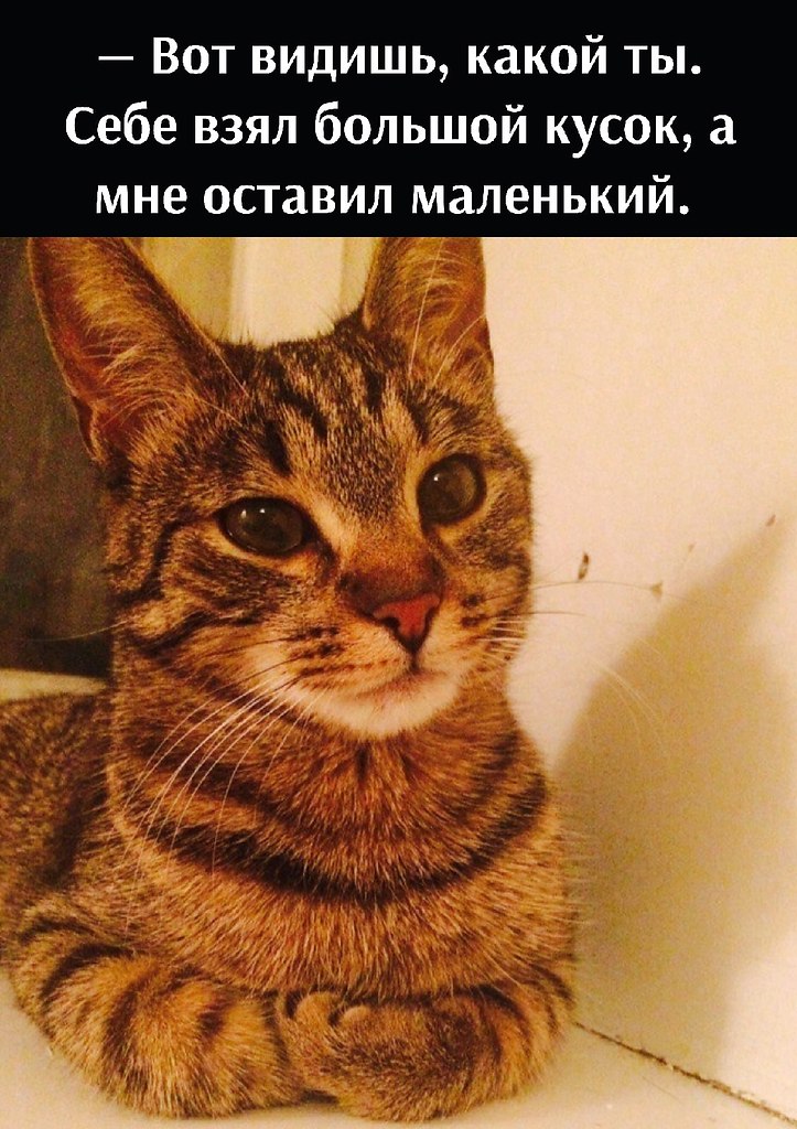       - 23  2022  10:17