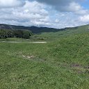  , -- -  29  2022   2021