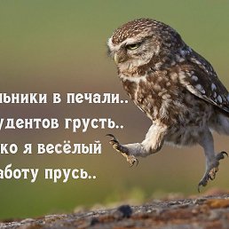 , , 37 