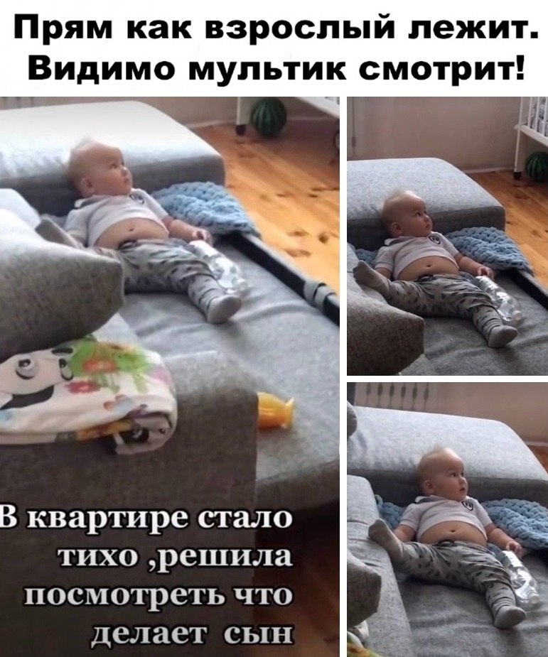   -  ,  -  - 12  2022  12:55
