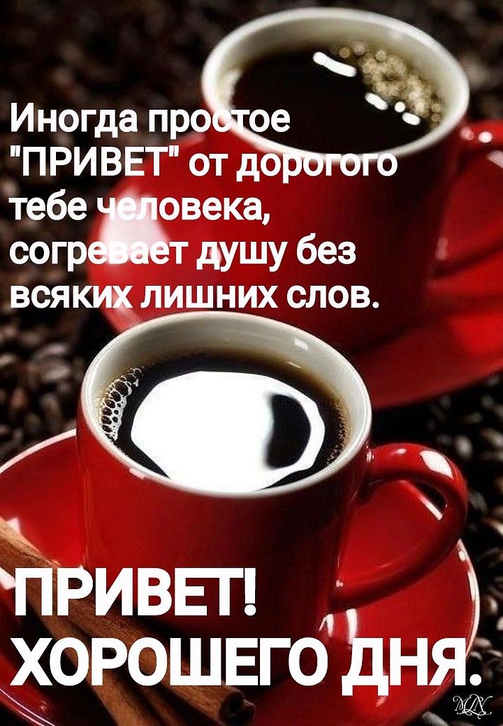   - 13  2023  08:44
