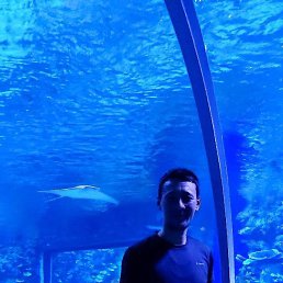 �����, �����, 42 ����