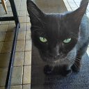  ,  -  15  2022      2022 !!!!!!