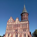 ���� ������, �����������-��-�����, 49 ��� - ��������� 29 �������� 2022 � ������ �������� 2022�