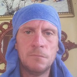 ������, ������, 41 ���