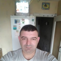  , , 51  -  15  2022