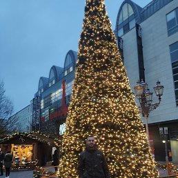 �����, ������, 36 ���