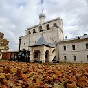 ���� ������, �������������-���������� - ��������� 11 ������� 2022 � ������ ��.��������