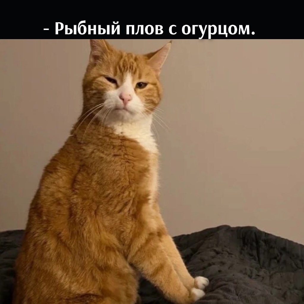       - 4  2022  20:03 - 2