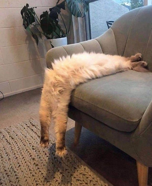         .     ...