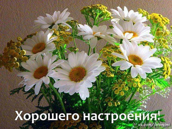   ,    . - 6  2022  22:34