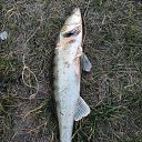 ���� ���������, ������ - ��������� 17 ���� 2022 � ������ ���������� ������