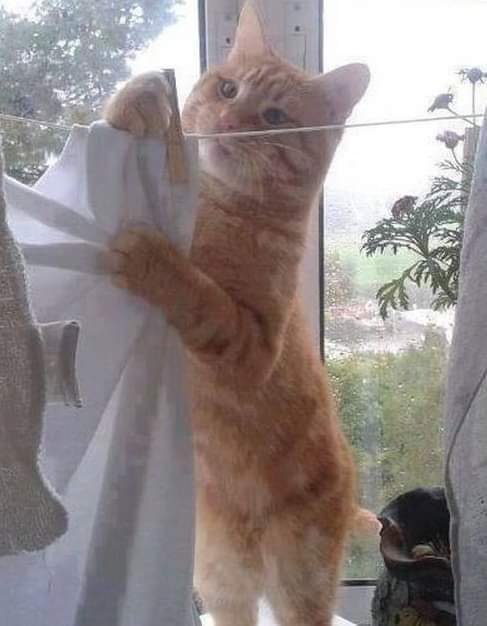 :) " ,     !")) 