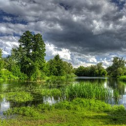 ���������, ������, 44 ����