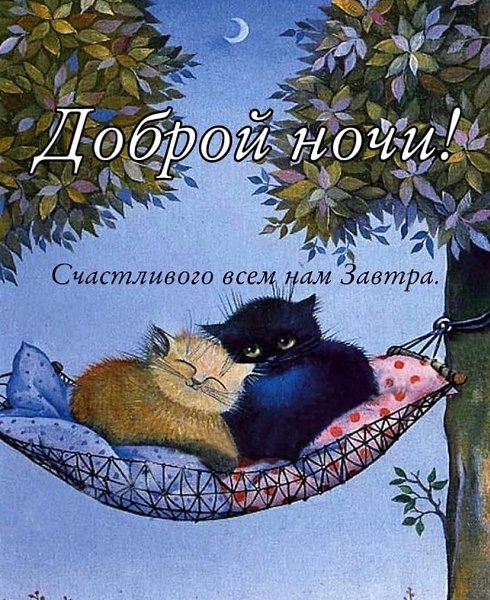   - 5  2022  23:44