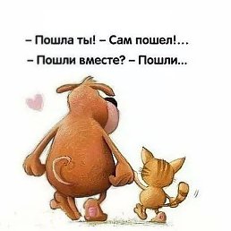 ����, �������, 48 ���